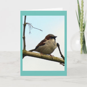 Sparrow bird card