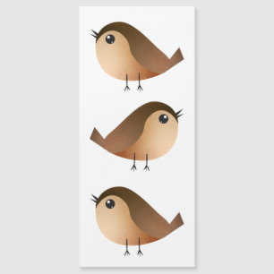 Sparrow Bird Cartoon  