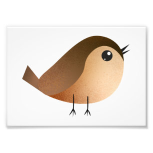 Sparrow Bird Cartoon  Photo Print