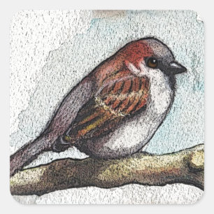 Sparrow: Bird, Watercolor, Stones, Rocks Square Sticker