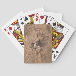 Sparrow Birds During Spring Rustic Wildlife Photo Playing Cards
