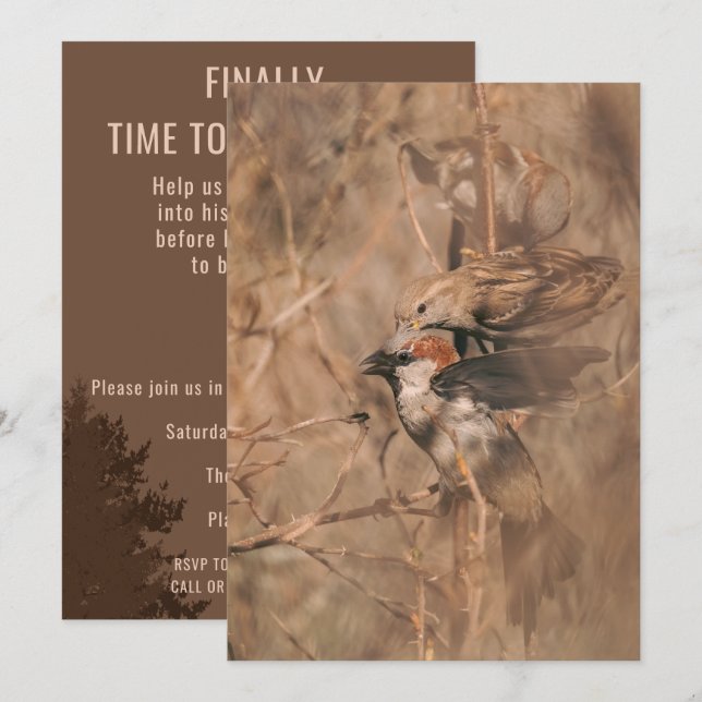 Sparrow Birds Funny Birdwatcher Retirement Party Invitation (Front/Back)