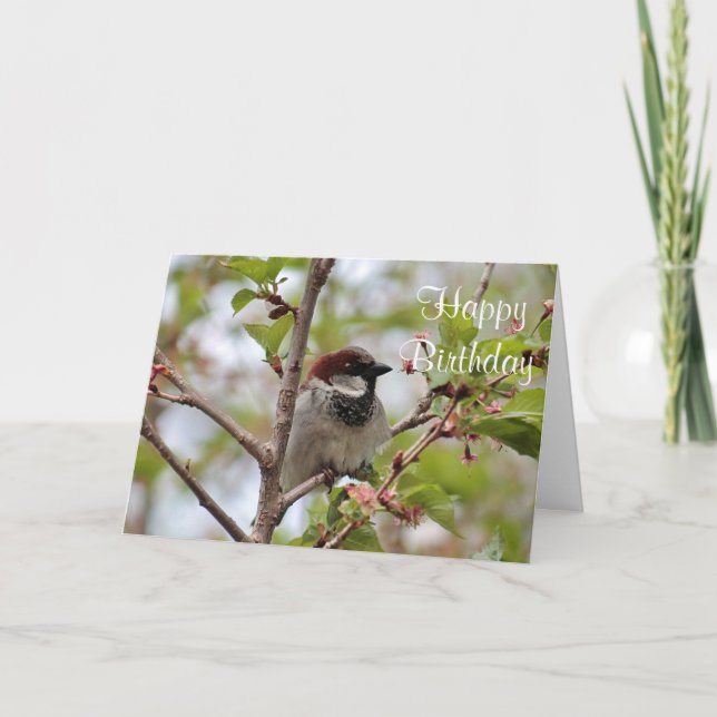 Sparrow Card (Front)