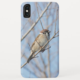 Sparrow iPhone XS Max Case