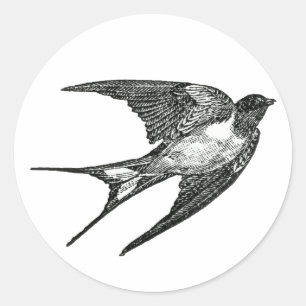 sparrow classic round sticker