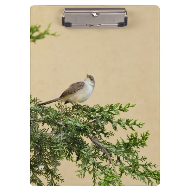 Sparrow  clipboard (Front)