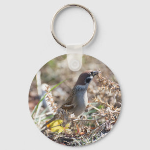 Sparrow eating wild seeds keychain