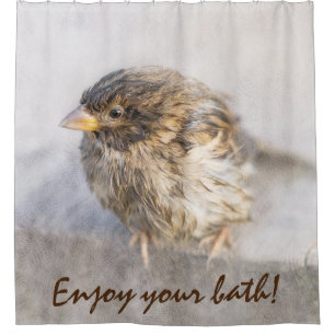 Sparrow - Enjoy Your Bath