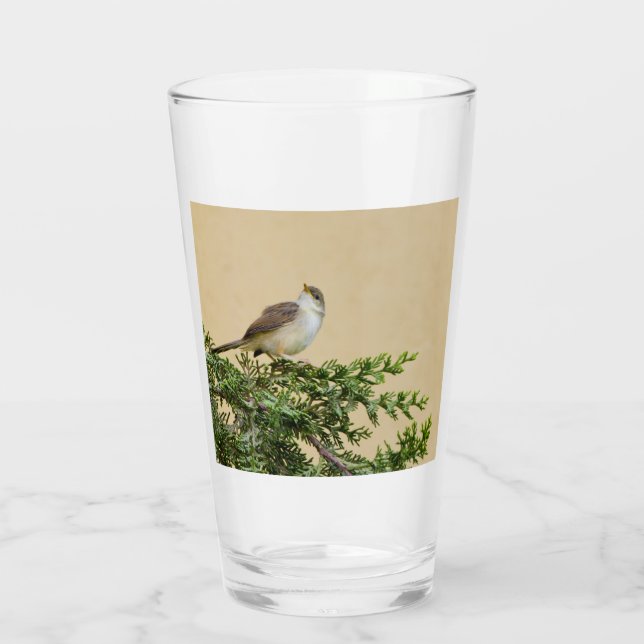 Sparrow  glass (Back)