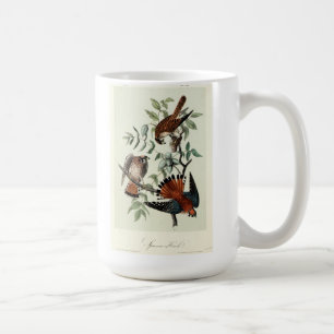 Sparrow hawks coffee mug