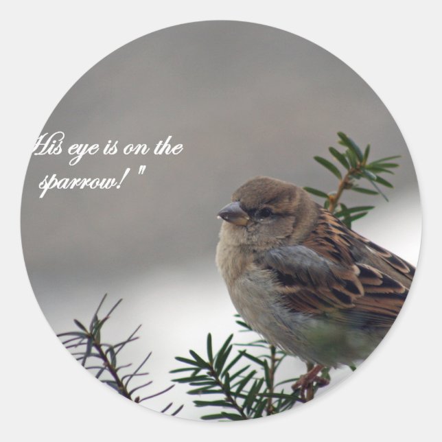 Sparrow, His eye is on the Sparrow! Classic Round Sticker (Front)