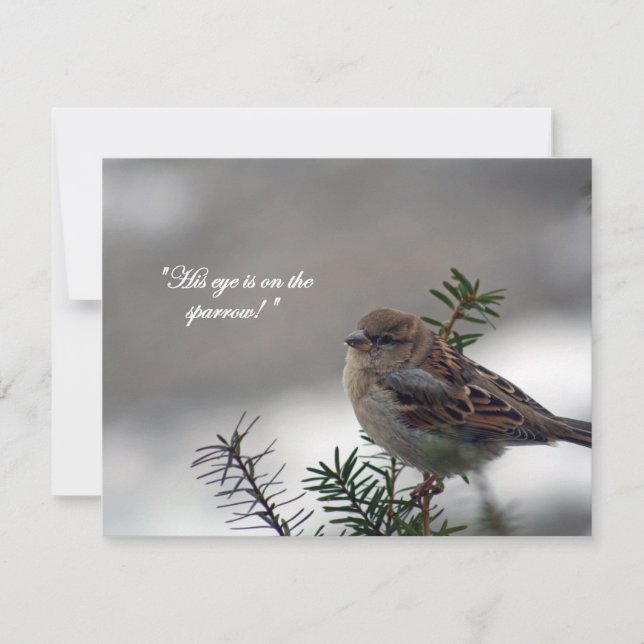 Sparrow, His eye is on the Sparrow! Holiday Card (Front)