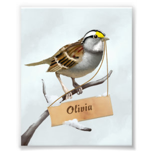 Sparrow Illustration Photo Print