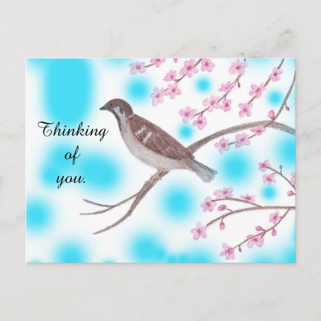 Sparrow in Cherry Blossom Tree Sky Postcards (Front)