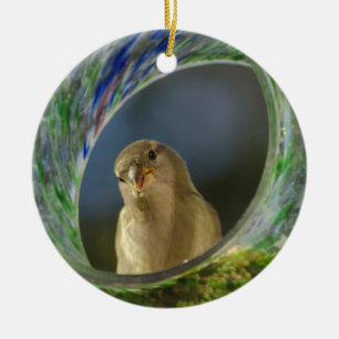 Sparrow in the Spot Ceramic Ornament