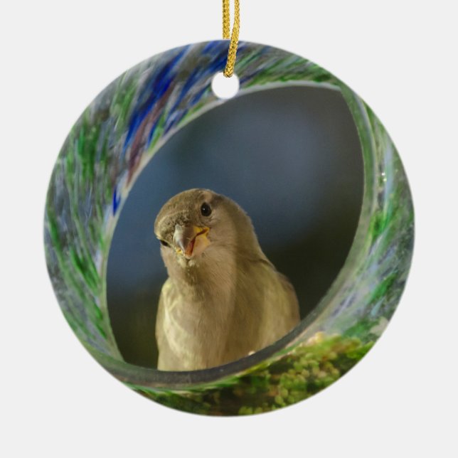 Sparrow in the Spot Ceramic Ornament (Front)