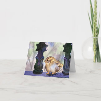 Sparrow in Waiting Note Card
