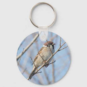 Sparrow Keychain