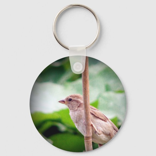 Sparrow Keychain (Front)