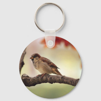 sparrow keychain