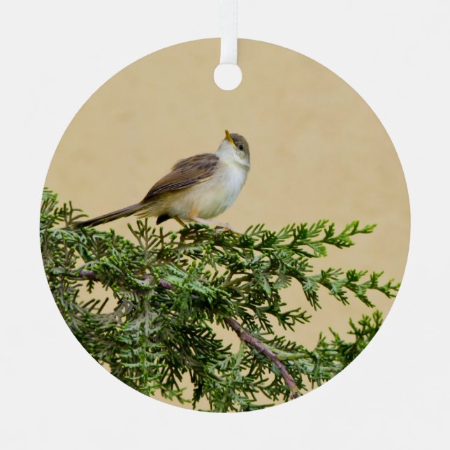 Sparrow  metal ornament (Front)