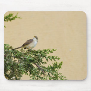 Sparrow Mouse Pad