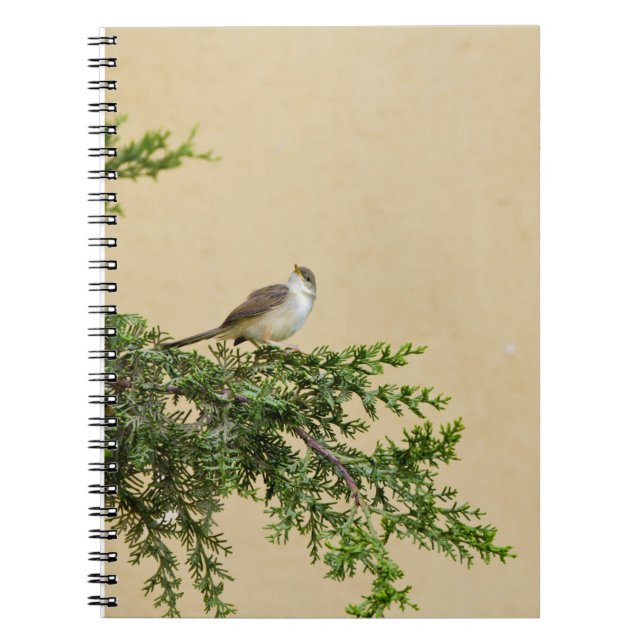 Sparrow Notebook (Front)