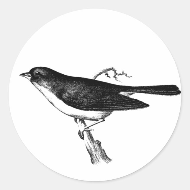 SPARROW ON A BRANCH CLASSIC ROUND STICKER (Front)