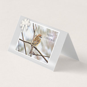 Sparrow on a Branch - Merry Christmas