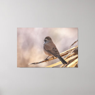Sparrow on a Thin Branch  Canvas Print