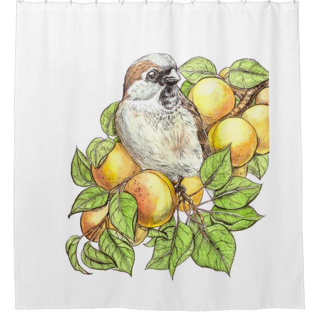 Sparrow on an apricot branch (Front)