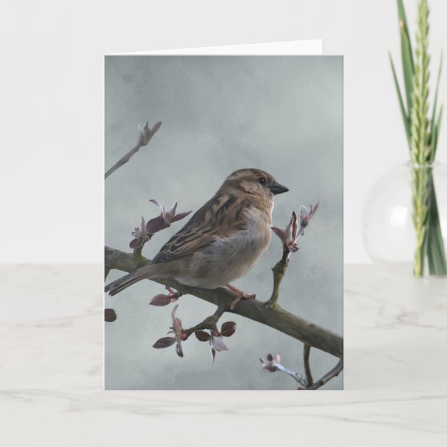 Sparrow on Branch Photo Card (Front)