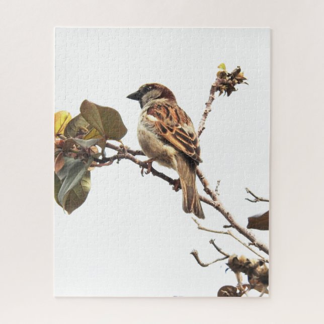 Sparrow on Branch Puzzle (Vertical)