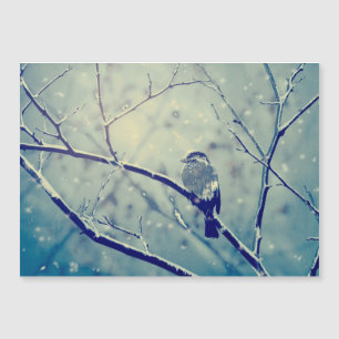 Sparrow on the snowy branch