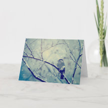 Sparrow on the snowy branch