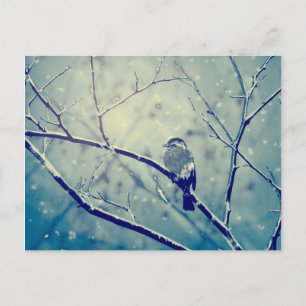 Sparrow on the snowy branch holiday postcard