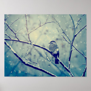Sparrow on the snowy branch poster