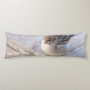 Sparrow - Overweight Body Pillow