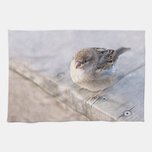 Sparrow - Overweight Kitchen Towel
