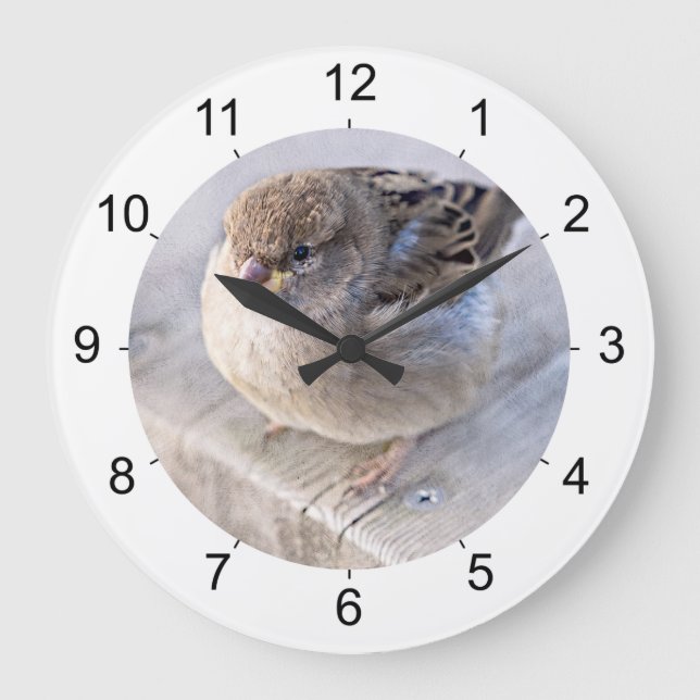 Sparrow - Overweight Large Clock (Front)