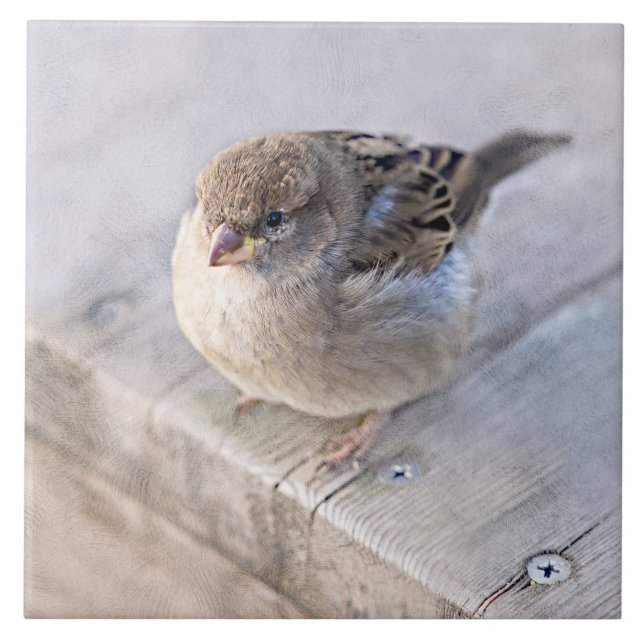 Sparrow - Overweight Tile (Front)