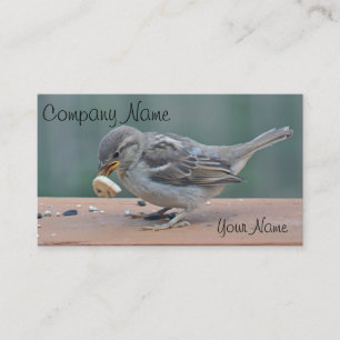 Sparrow photo business card