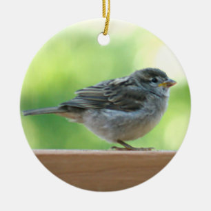 Sparrow photo ceramic ornament
