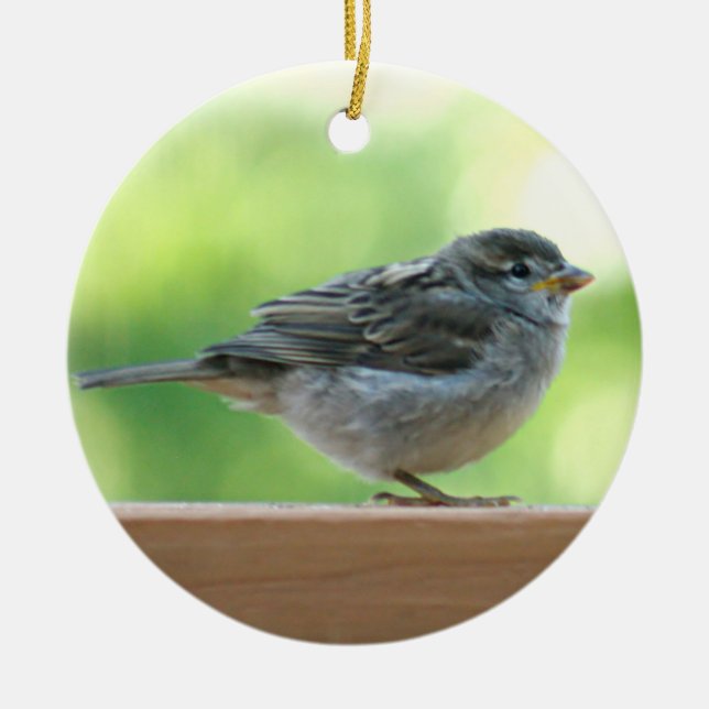 Sparrow photo ceramic ornament (Front)