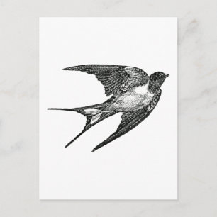 sparrow postcard