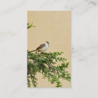 Sparrow Postcard