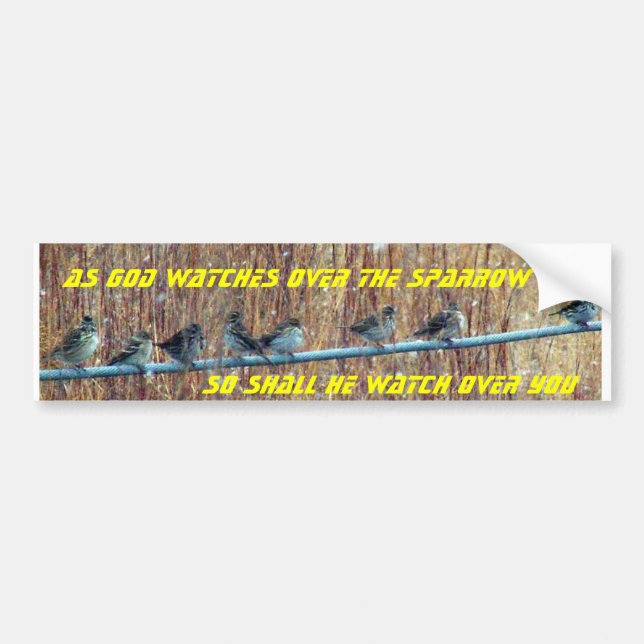 Sparrow scripture bumper sticker (Front)