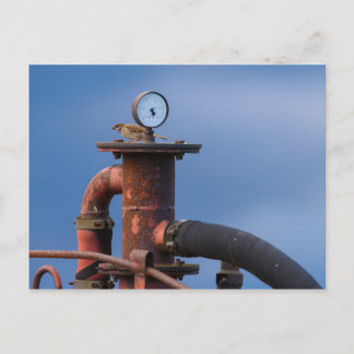 Sparrow sitting on top of a red machine postcard