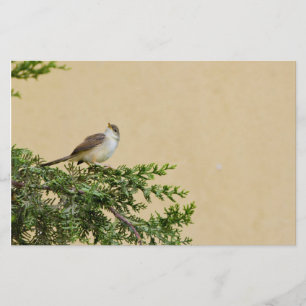 Sparrow Stationery