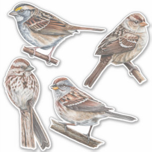 Sparrow Stickers Value Pack